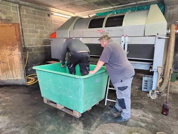 20241019 pressung weisswein